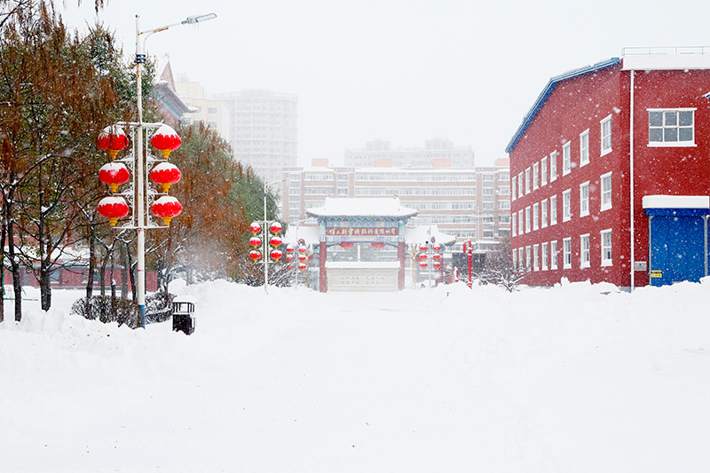 21778A0196F8464CD28C26C2FE9_C5ED7C68_31FB5.jpg?e=