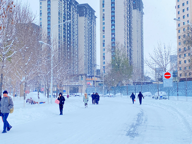 4D2AEFBC8B00AE67974DA568F03_D52092B4_4C72B.jpg?e=